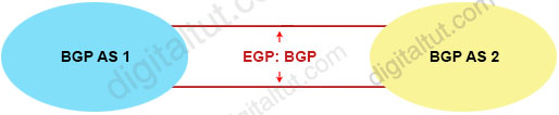 BGP_ASes_view.jpg