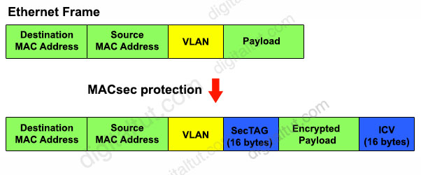 MACsec_frame_structure.jpg