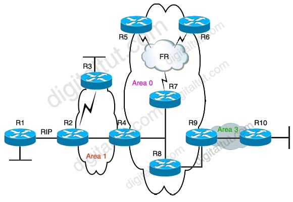 OSPF_minimize_LSA.jpg