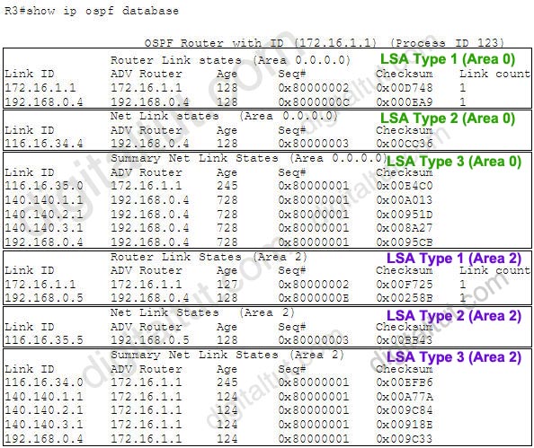 OSPF_show_ip_ospf_database_Explained.jpg