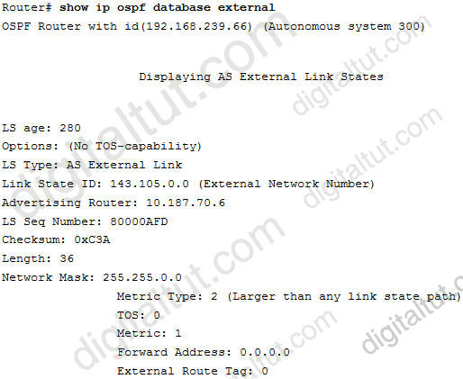 OSPF_show_ip_ospf_database_external.jpg