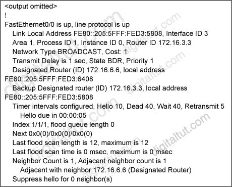 show_interfaces.jpg