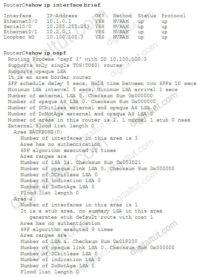 show_ip_interface_brief_show_ip_ospf.jpg