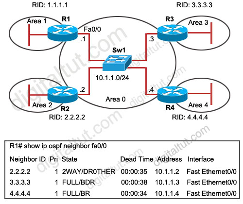 OSPF Questions 2